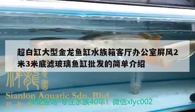 超白缸大型金龙鱼缸水族箱客厅办公室屏风2米3米底滤玻璃鱼缸批发的简单介绍 鱼缸/水族箱