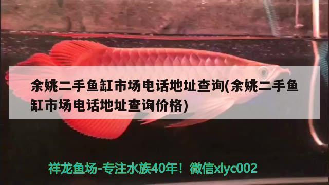 余姚二手鱼缸市场电话地址查询(余姚二手鱼缸市场电话地址查询价格) 一眉道人鱼苗