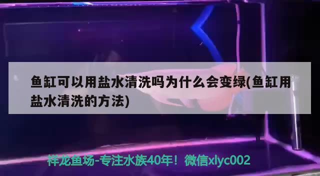 鱼缸可以用盐水清洗吗为什么会变绿(鱼缸用盐水清洗的方法) 金龙鱼粮