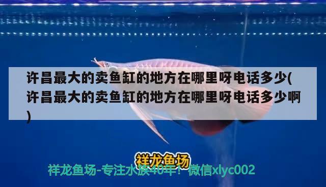 许昌最大的卖鱼缸的地方在哪里呀电话多少(许昌最大的卖鱼缸的地方在哪里呀电话多少啊)