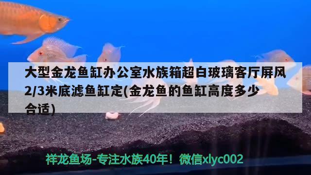 大型金龙鱼缸办公室水族箱超白玻璃客厅屏风2/3米底滤鱼缸定(金龙鱼的鱼缸高度多少合适) 鱼缸/水族箱