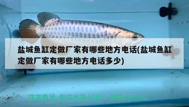 盐城鱼缸定做厂家有哪些地方电话(盐城鱼缸定做厂家有哪些地方电话多少) 鱼缸净水剂