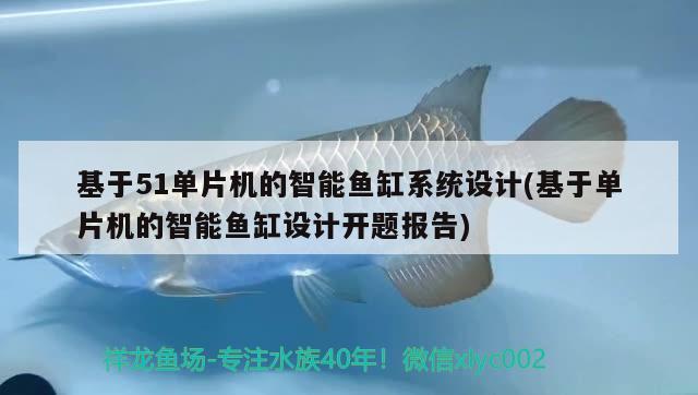 基于51单片机的智能鱼缸系统设计(基于单片机的智能鱼缸设计开题报告) 祥龙超血红龙鱼