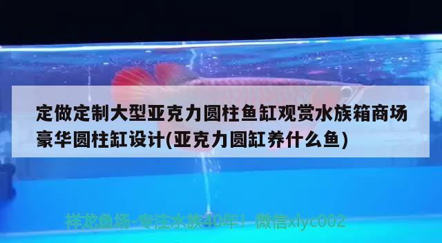 定做定制大型亚克力圆柱鱼缸观赏水族箱商场豪华圆柱缸设计(亚克力圆缸养什么鱼) 鱼缸/水族箱