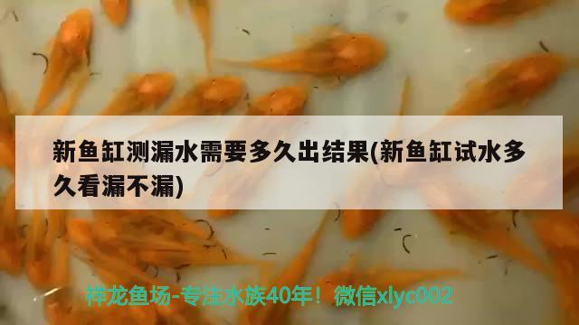 新鱼缸测漏水需要多久出结果(新鱼缸试水多久看漏不漏) 水族用品