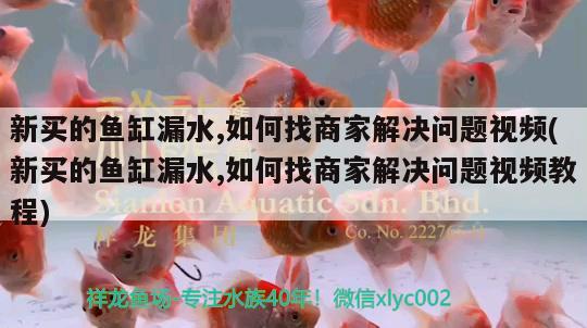 新买的鱼缸漏水,如何找商家解决问题视频(新买的鱼缸漏水,如何找商家解决问题视频教程)