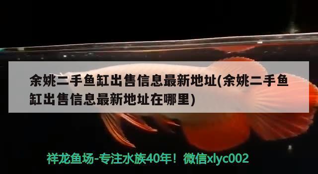 余姚二手鱼缸出售信息最新地址(余姚二手鱼缸出售信息最新地址在哪里) 大日玉鲭鱼