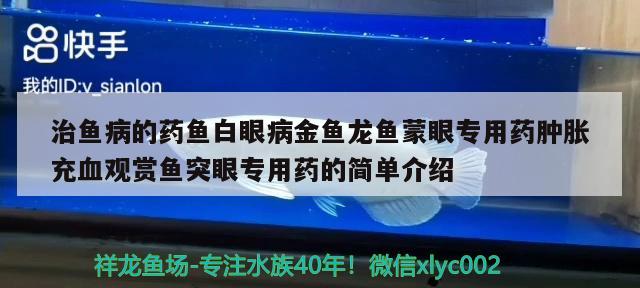 治鱼病的药鱼白眼病金鱼龙鱼蒙眼专用药肿胀充血观赏鱼突眼专用药的简单介绍 野生地图鱼 第3张