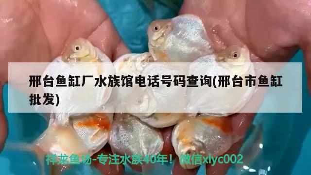 邢台鱼缸厂水族馆电话号码查询(邢台市鱼缸批发)