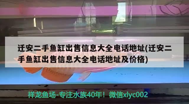 迁安二手鱼缸出售信息大全电话地址(迁安二手鱼缸出售信息大全电话地址及价格) 黄鳍鲳鱼