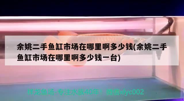 余姚二手鱼缸市场在哪里啊多少钱(余姚二手鱼缸市场在哪里啊多少钱一台)