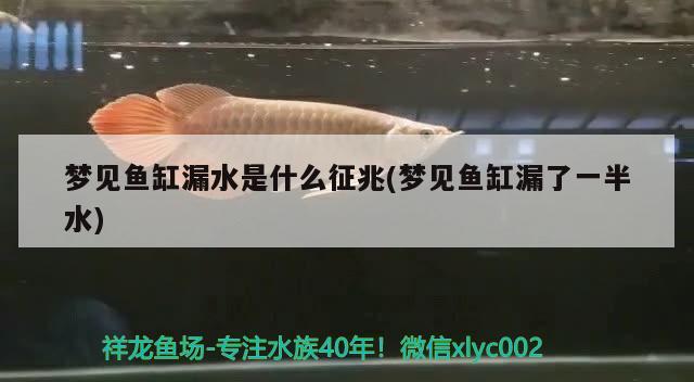 梦见鱼缸漏水是什么征兆(梦见鱼缸漏了一半水) 祥龙水族滤材/器材