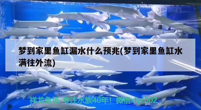 梦到家里鱼缸漏水什么预兆(梦到家里鱼缸水满往外流)