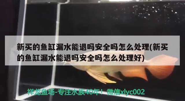 新买的鱼缸漏水能退吗安全吗怎么处理(新买的鱼缸漏水能退吗安全吗怎么处理好)