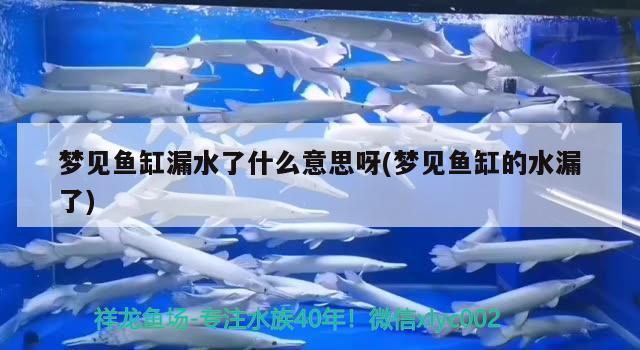 梦见鱼缸漏水了什么意思呀(梦见鱼缸的水漏了) 水族用品