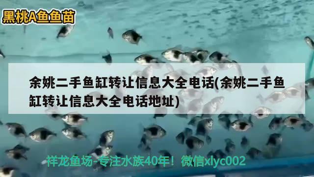 余姚二手鱼缸转让信息大全电话(余姚二手鱼缸转让信息大全电话地址) 蓝帆三间鱼