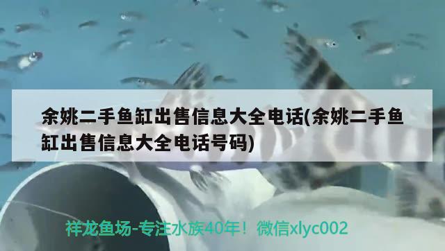 余姚二手鱼缸出售信息大全电话(余姚二手鱼缸出售信息大全电话号码)