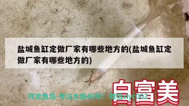 盐城鱼缸定做厂家有哪些地方的(盐城鱼缸定做厂家有哪些地方的) iwish爱唯希品牌鱼缸