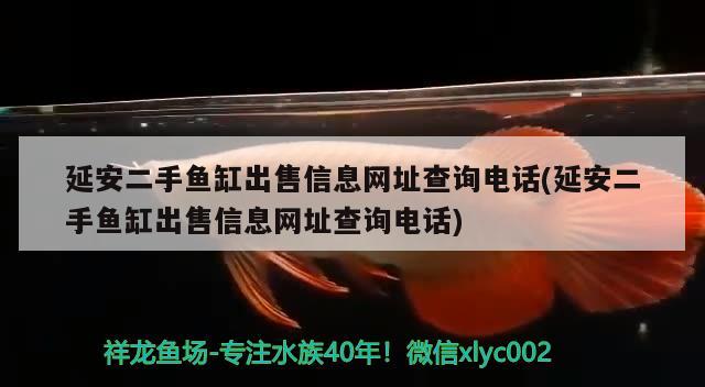 延安二手鱼缸出售信息网址查询电话(延安二手鱼缸出售信息网址查询电话)