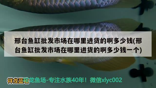 邢台鱼缸批发市场在哪里进货的啊多少钱(邢台鱼缸批发市场在哪里进货的啊多少钱一个)