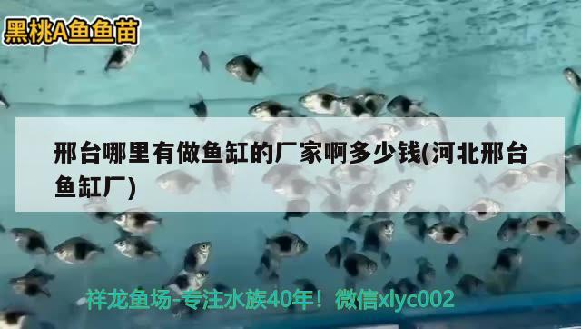 邢台哪里有做鱼缸的厂家啊多少钱(河北邢台鱼缸厂) 细线银版鱼