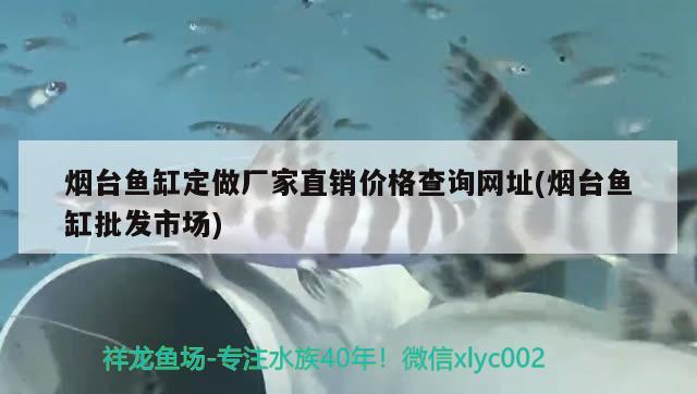 烟台鱼缸定做厂家直销价格查询网址(烟台鱼缸批发市场) 飞凤鱼