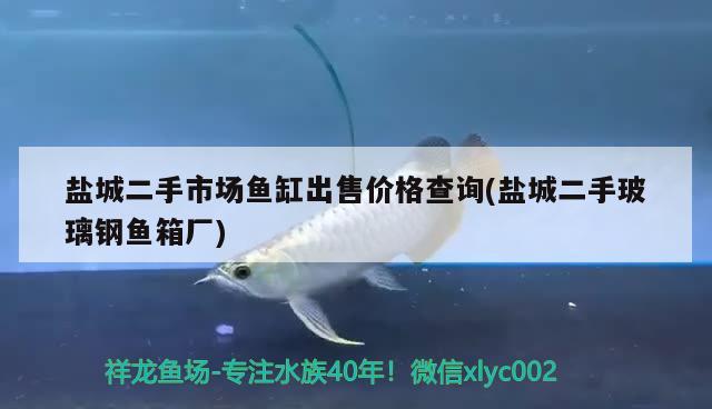 盐城二手市场鱼缸出售价格查询(盐城二手玻璃钢鱼箱厂) 养鱼知识