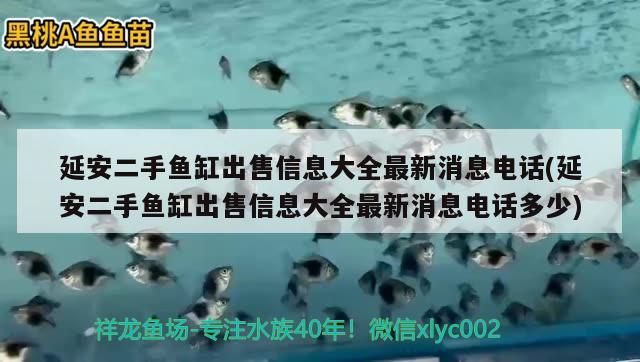 延安二手鱼缸出售信息大全最新消息电话(延安二手鱼缸出售信息大全最新消息电话多少) 2024第28届中国国际宠物水族展览会CIPS（长城宠物展2024 CIPS）