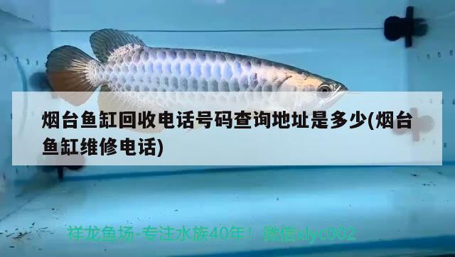 烟台鱼缸回收电话号码查询地址是多少(烟台鱼缸维修电话) 森森鱼缸