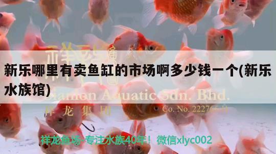 新乐哪里有卖鱼缸的市场啊多少钱一个(新乐水族馆) 冲氧泵