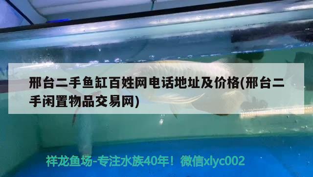 邢台二手鱼缸百姓网电话地址及价格(邢台二手闲置物品交易网) 银古鱼苗