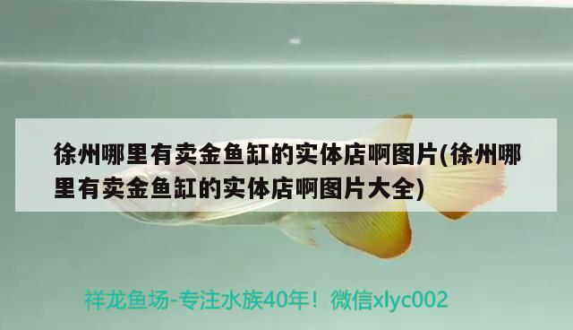 徐州哪里有卖金鱼缸的实体店啊图片(徐州哪里有卖金鱼缸的实体店啊图片大全)