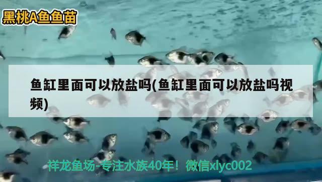 鱼缸里面可以放盐吗(鱼缸里面可以放盐吗视频) 肥料