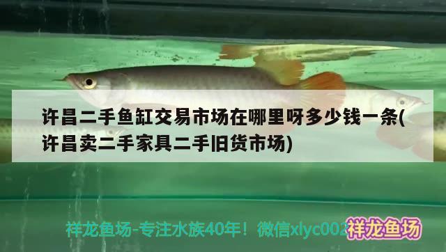 许昌二手鱼缸交易市场在哪里呀多少钱一条(许昌卖二手家具二手旧货市场)