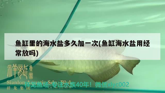 鱼缸里的海水盐多久加一次(鱼缸海水盐用经常放吗) 红龙专用鱼粮饲料