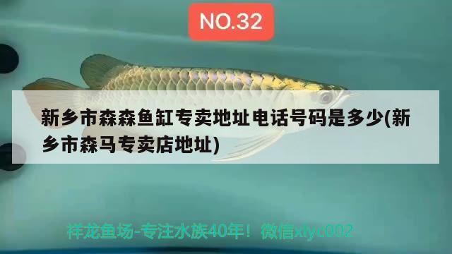 新乡市森森鱼缸专卖地址电话号码是多少(新乡市森马专卖店地址) 月光鸭嘴鱼