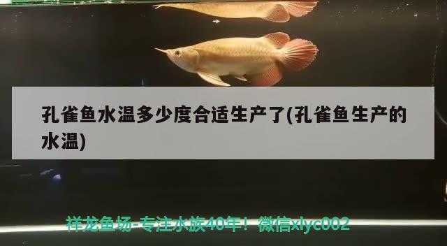 孔雀鱼水温多少度合适生产了(孔雀鱼生产的水温) 观赏鱼