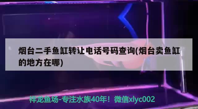 烟台二手鱼缸转让电话号码查询(烟台卖鱼缸的地方在哪) 硝化细菌