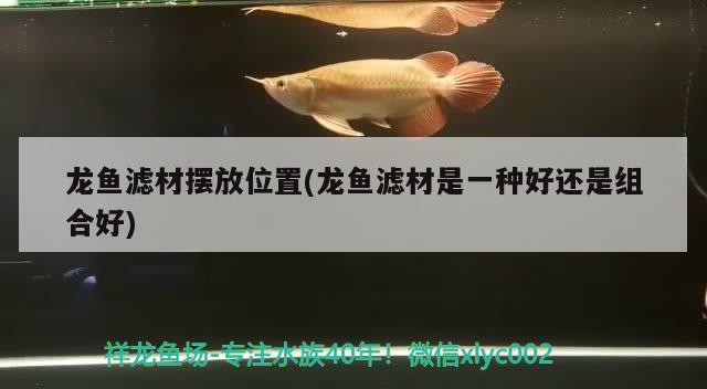 龙鱼滤材摆放位置(龙鱼滤材是一种好还是组合好)