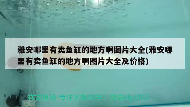 雅安哪里有卖鱼缸的地方啊图片大全(雅安哪里有卖鱼缸的地方啊图片大全及价格) 观赏龟/鳖饲料