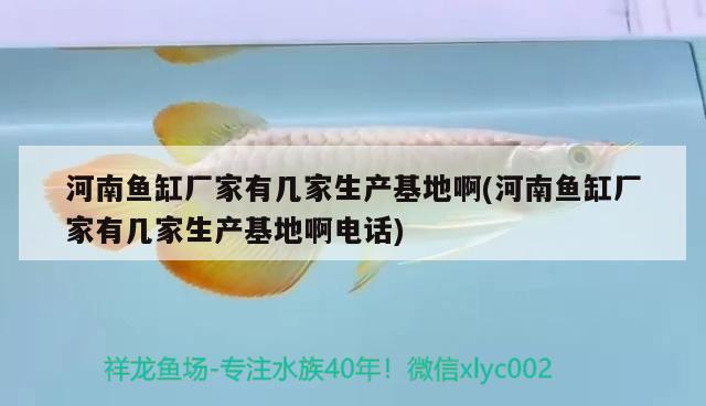 河南鱼缸厂家有几家生产基地啊(河南鱼缸厂家有几家生产基地啊电话) 朱巴利鱼苗