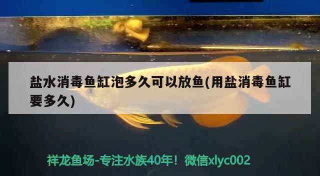 盐水消毒鱼缸泡多久可以放鱼(用盐消毒鱼缸要多久) 国产元宝凤凰鱼