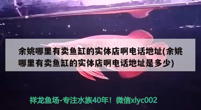 余姚哪里有卖鱼缸的实体店啊电话地址(余姚哪里有卖鱼缸的实体店啊电话地址是多少) 印尼四纹虎