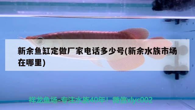 新余鱼缸定做厂家电话多少号(新余水族市场在哪里)