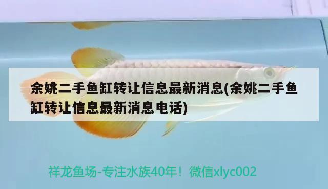 余姚二手鱼缸转让信息最新消息(余姚二手鱼缸转让信息最新消息电话) 罗汉鱼