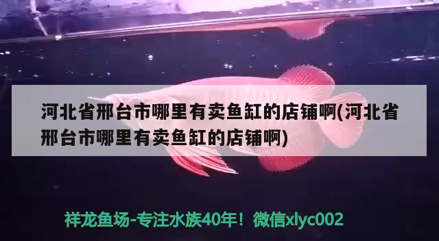 河北省邢台市哪里有卖鱼缸的店铺啊(河北省邢台市哪里有卖鱼缸的店铺啊)