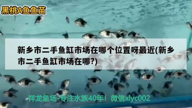 新乡市二手鱼缸市场在哪个位置呀最近(新乡市二手鱼缸市场在哪?) 帝王迷宫