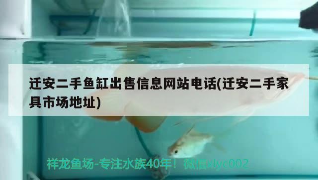 迁安二手鱼缸出售信息网站电话(迁安二手家具市场地址) 印尼红龙鱼