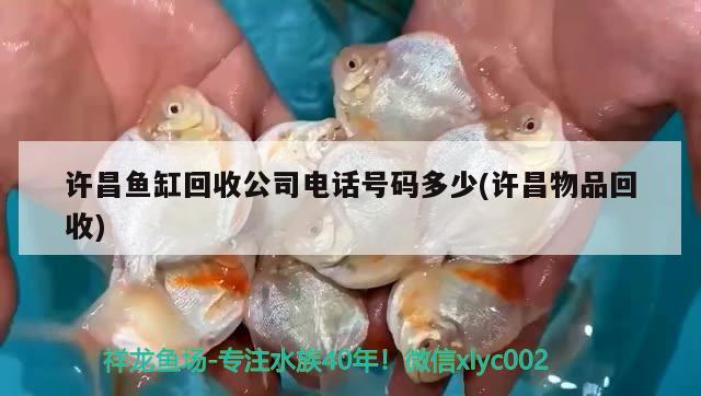 许昌鱼缸回收公司电话号码多少(许昌物品回收) 红龙专用鱼粮饲料