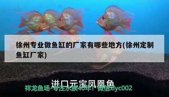 徐州专业做鱼缸的厂家有哪些地方(徐州定制鱼缸厂家) 龙鱼芯片扫码器